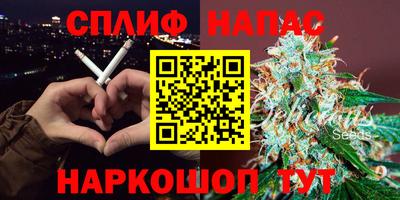 спиды Пугачёв
