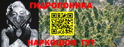 ГАЛЛЮЦИНОГЕННЫЕ ГРИБЫ Партизанск