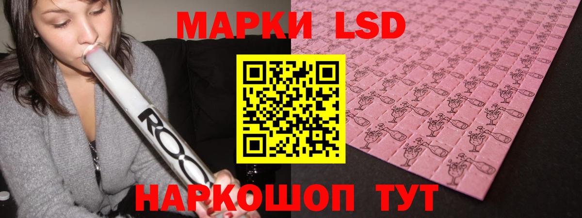 Псилоцибиновые грибы Подольск
