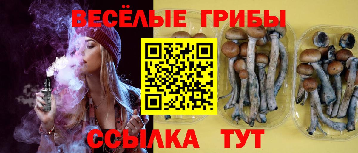 купить  сайты  Вход с VPN  Подольск  Псилоцибиновые грибы мухоморы 