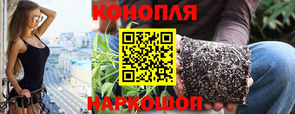 КОКАИН  Меф МЯУ МЯУ кристаллы  Экстази  Подольск  Гашиш  Вход с VPN  Как найти закладки? 